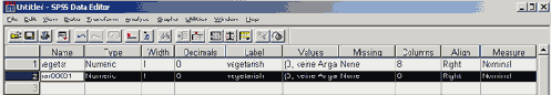     SPSS