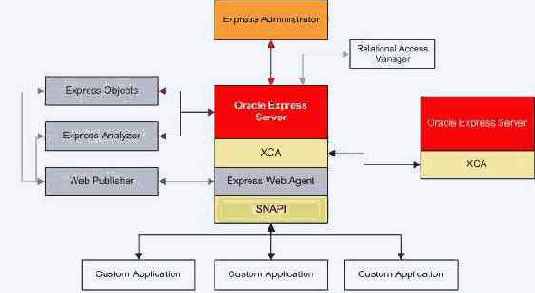   Oracle - 
